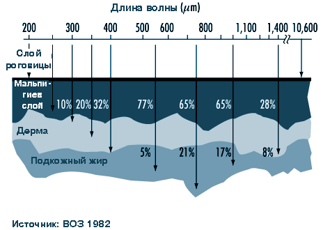 Руководство По Физиотерапии Пономаренко